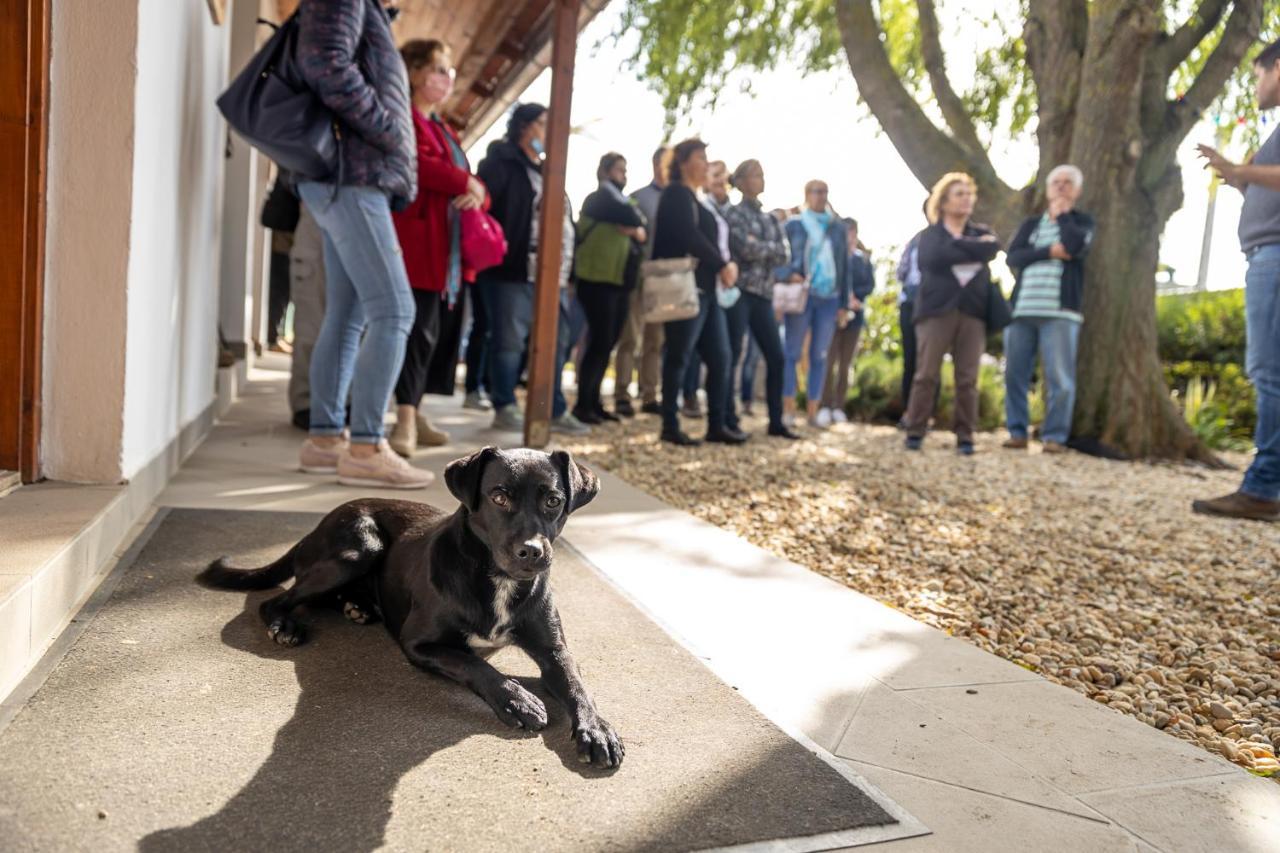 Mézes Vendégház és Apiterápiás központ Vizsoly Exterior foto