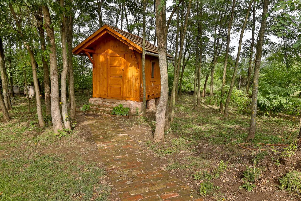Mézes Vendégház és Apiterápiás központ Vizsoly Exterior foto