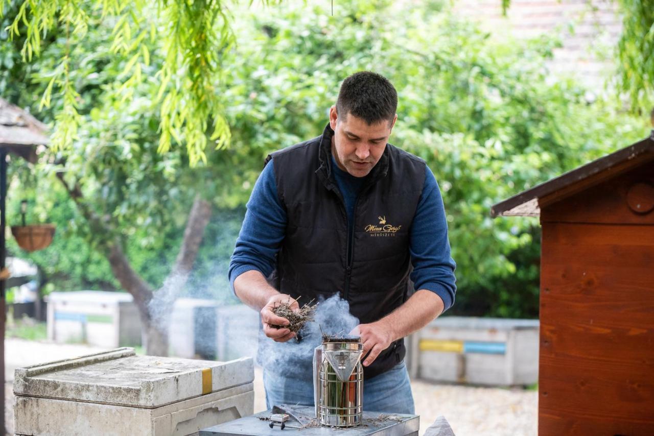 Mézes Vendégház és Apiterápiás központ Vizsoly Exterior foto